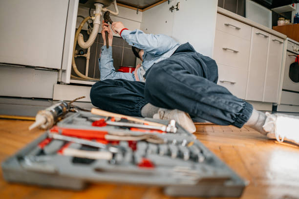 Best Plumbing Repair Near Me  in Brundidge, AL