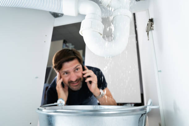 Best Septic Systems  in Brundidge, AL