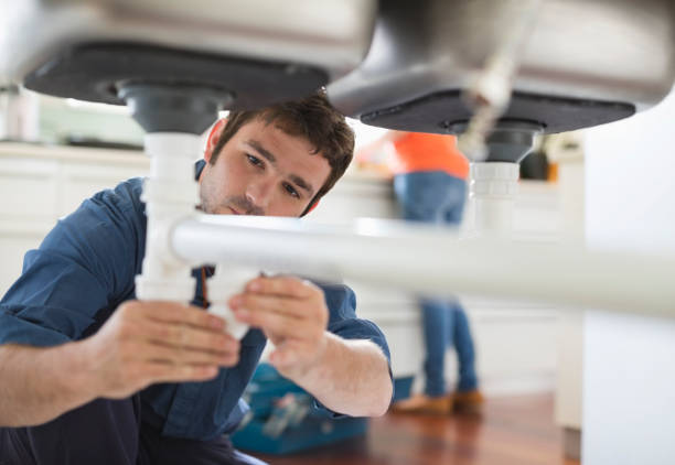 Best Toilet Repair Services  in Brundidge, AL