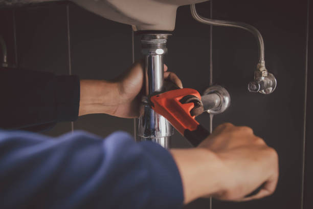 Best Plumbing Services Near Me  in Brundidge, AL