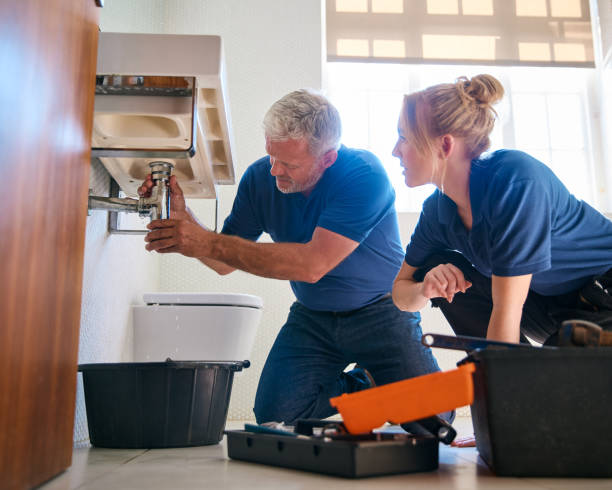 Best Affordable Plumbing Services  in Brundidge, AL